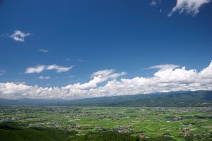 人吉盆地の田んぼ