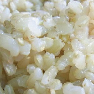 玄米焼酎｜玄米｜球磨焼酎｜