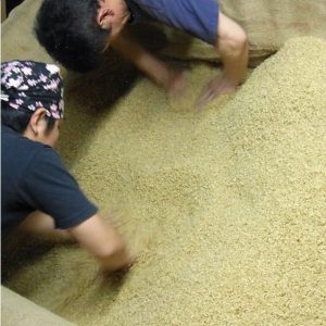 玄米｜焼酎｜玄米焼酎｜球磨焼酎｜床もみ｜