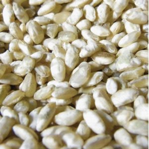 玄米麹｜玄米｜焼酎｜玄米焼酎｜球磨焼酎｜
